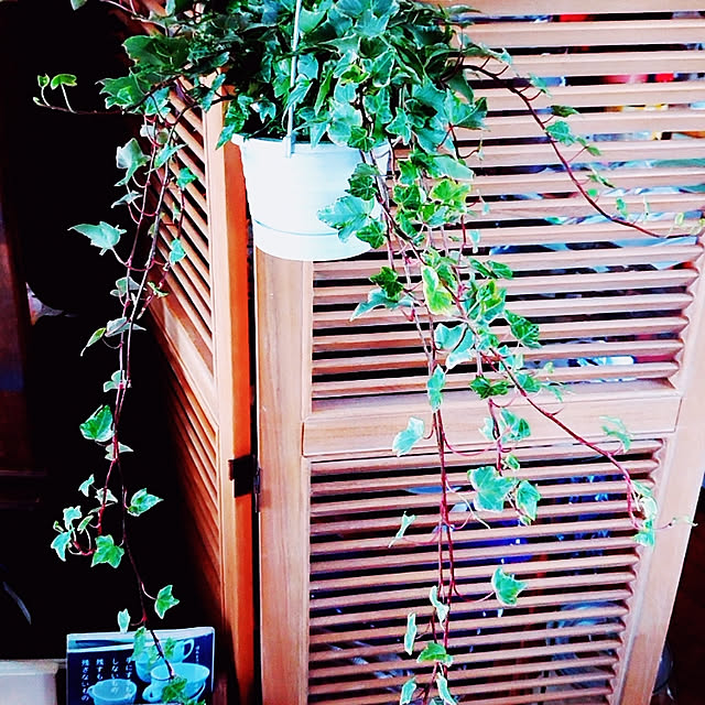 asaさんの実例写真
