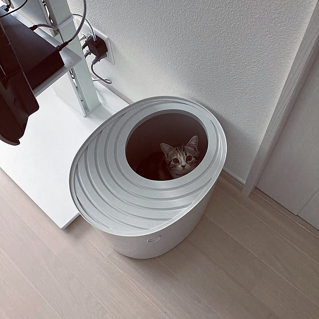 mouseさんの実例写真