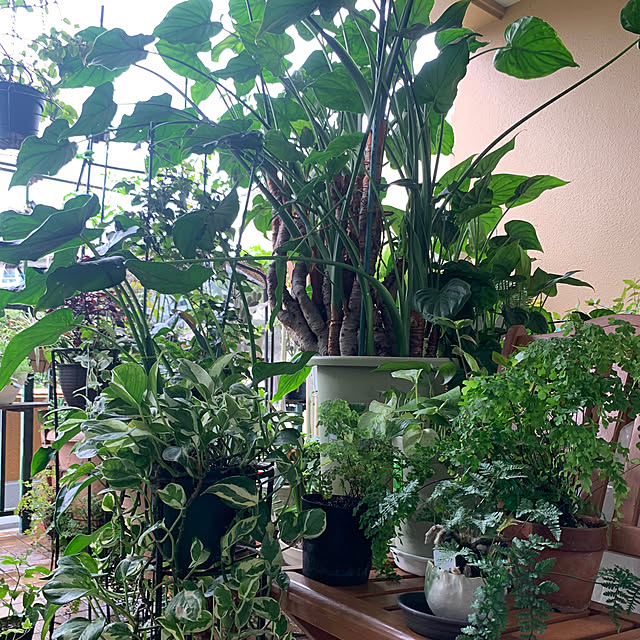 Aqettyさんの部屋