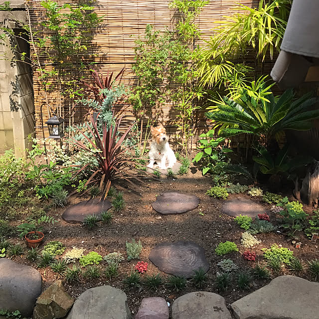 実例写真