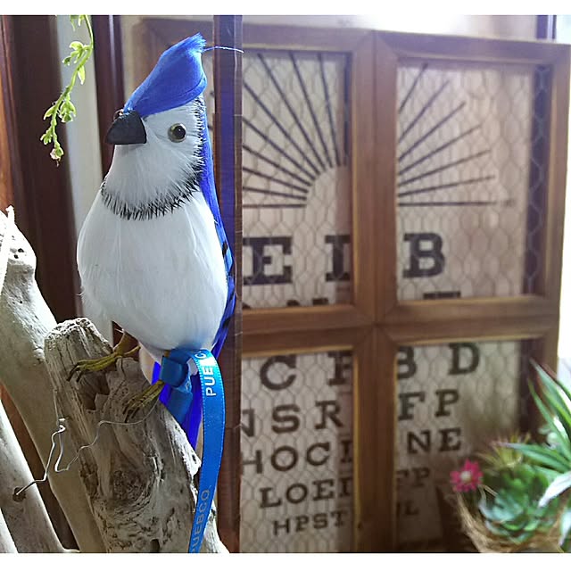 tomokaさんの実例写真