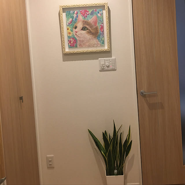chikachikaさんの実例写真