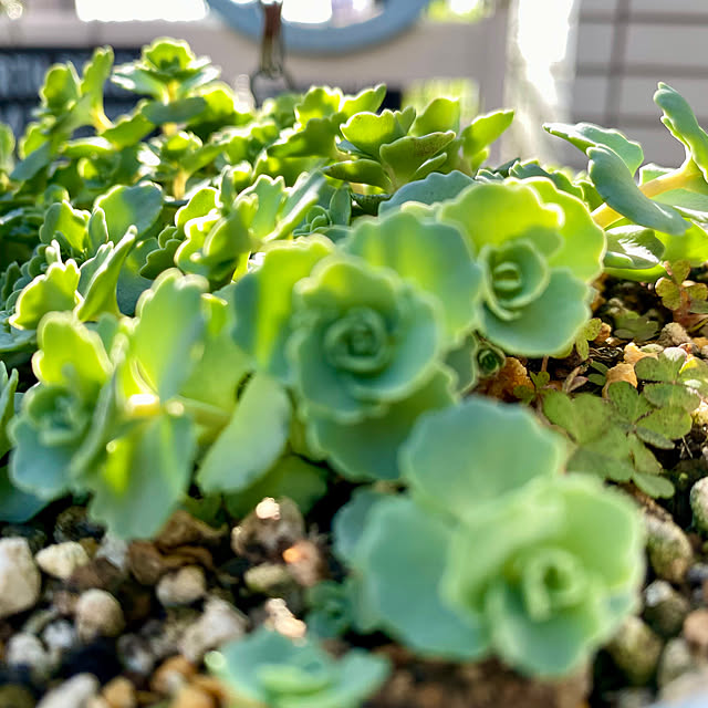 YuuKoさんの部屋