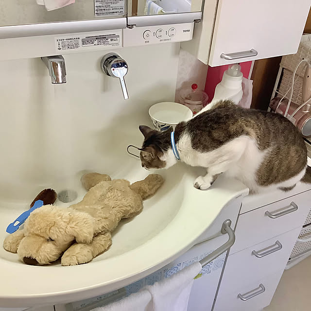 haruminさんの部屋