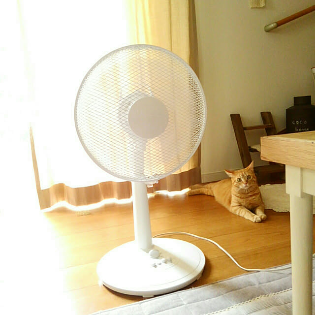 mayutan.さんの実例写真