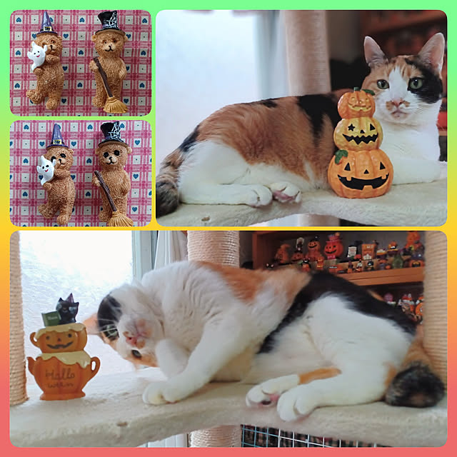 nanaさんの実例写真