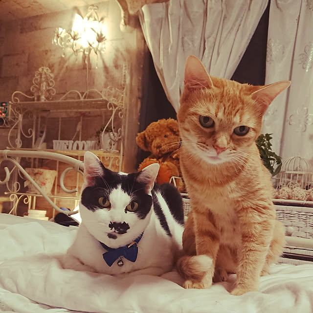 asuminさんの実例写真