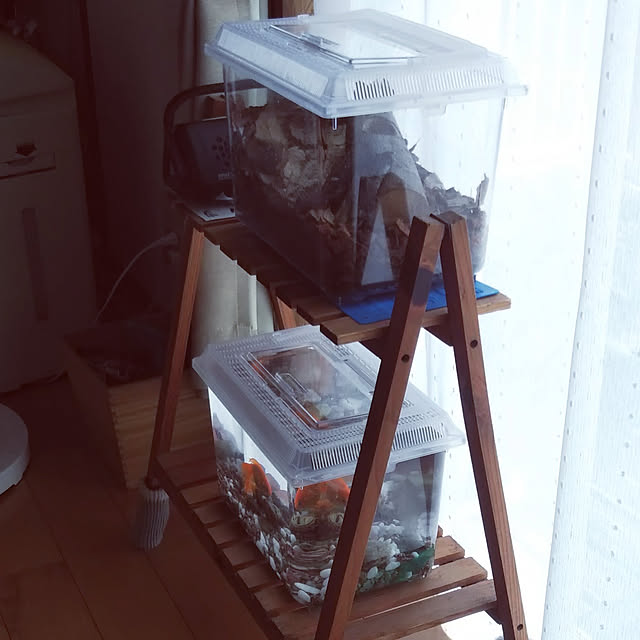 mofuさんの実例写真