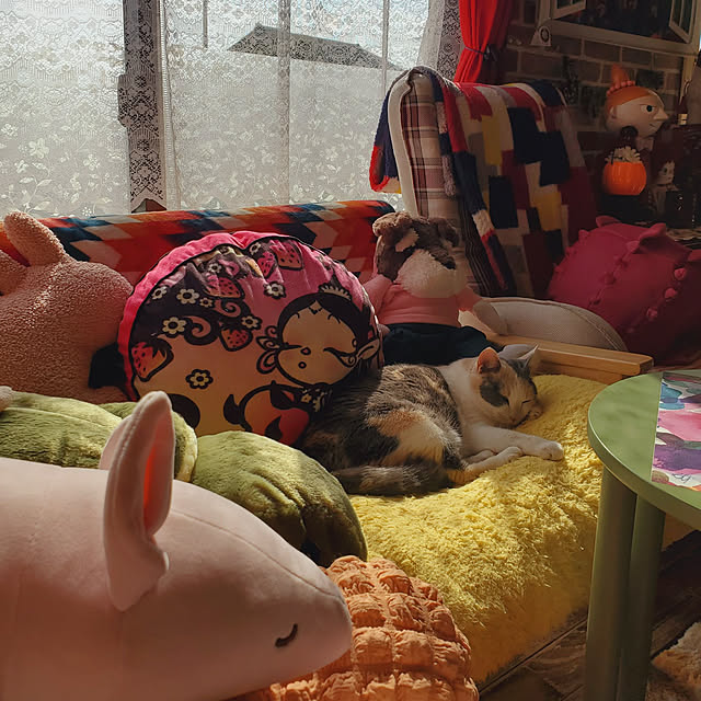 kumutanさんの実例写真