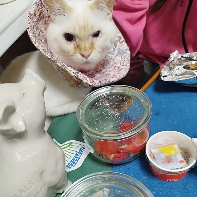 Yさんの部屋