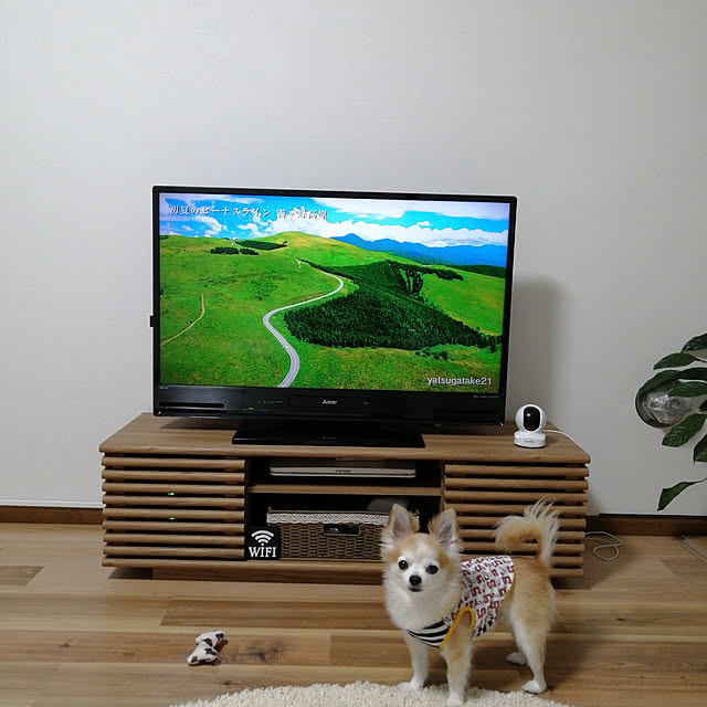 Milkyさんの部屋