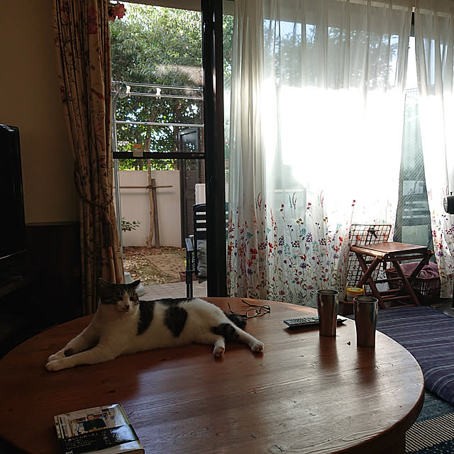 okyosan101さんの実例写真