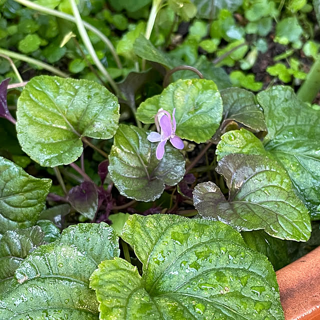 buchiさんの実例写真