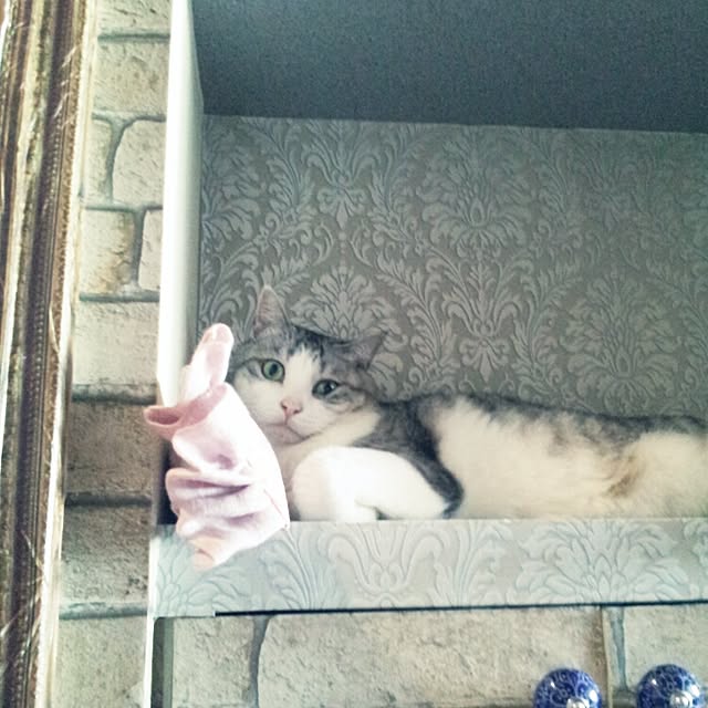 emmyyさんの実例写真