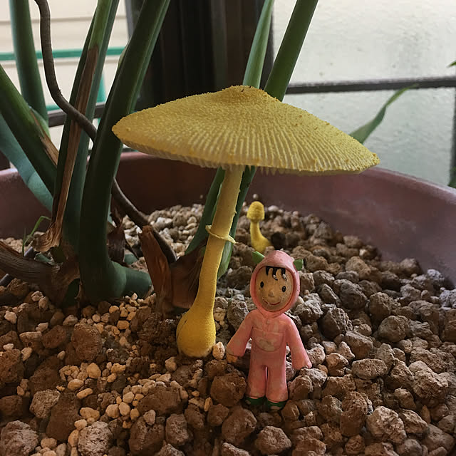 tae4649さんの実例写真