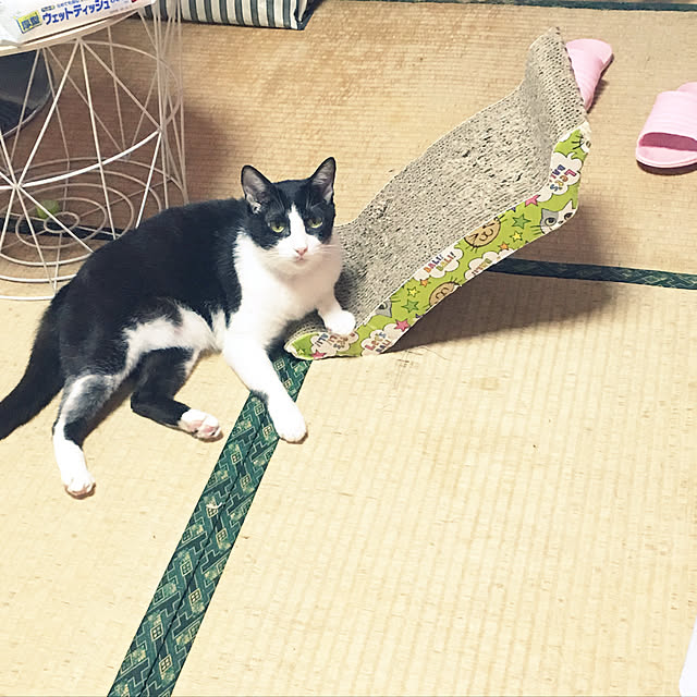 brbrnknkさんの実例写真