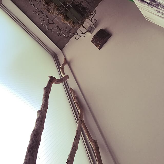 mononofuさんの実例写真