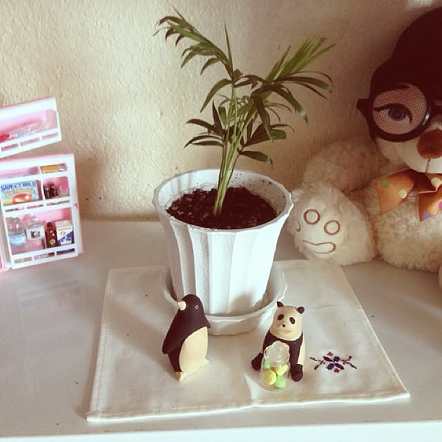 mayaさんの実例写真