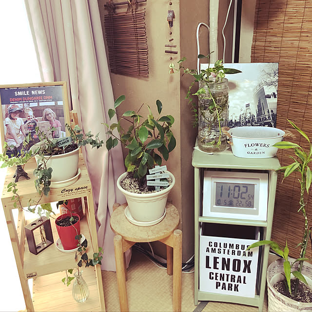 部屋全体/観葉植物/DIY/雑貨/セリア...などのインテリア実例 - 2018-10-05 15:56:05
