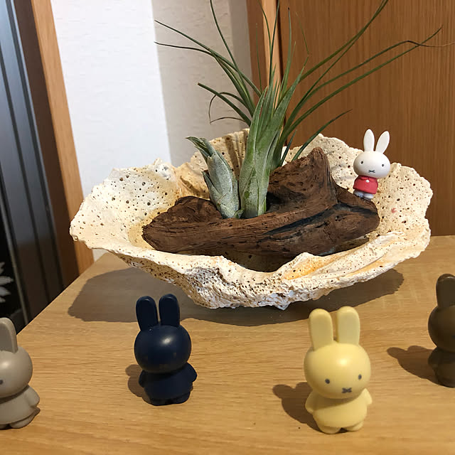 nacchi4さんの実例写真