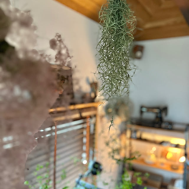 maronさんの部屋