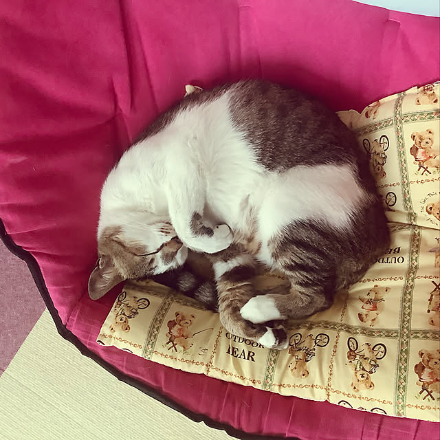 haruminさんの実例写真