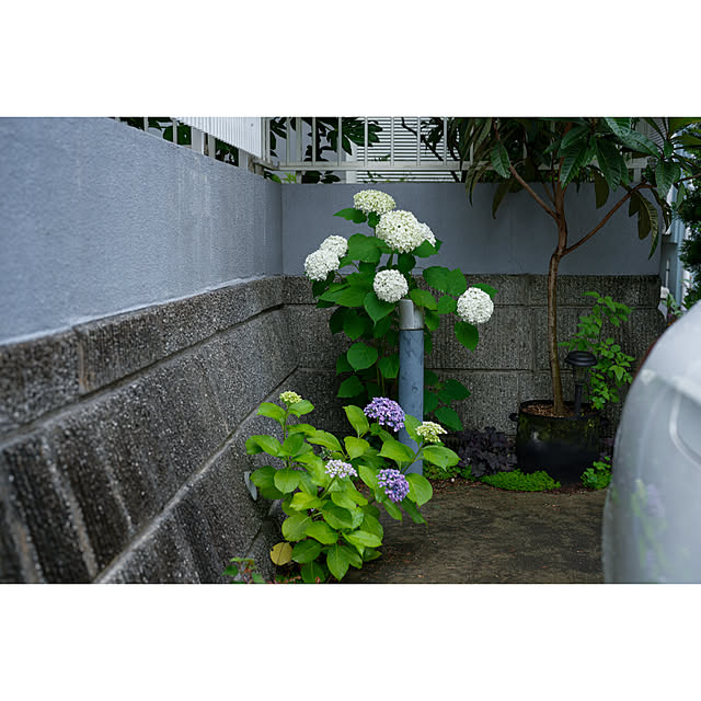 haruisabelさんの実例写真