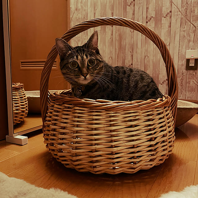 Mさんの実例写真