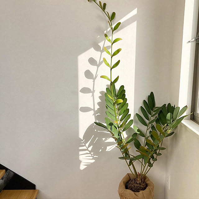 h_b_home2022さんの実例写真