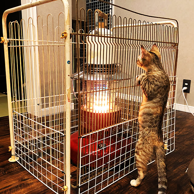 imosukeさんの実例写真