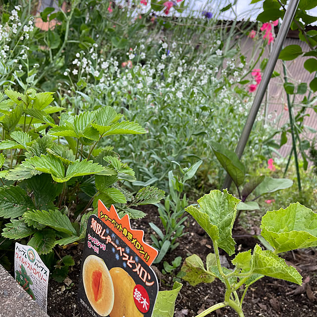 natsumiさんの実例写真