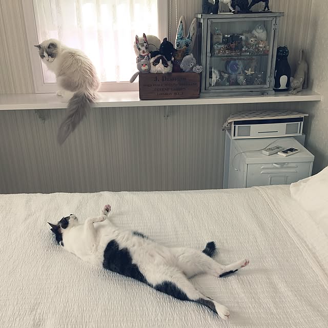 yuchiさんの実例写真