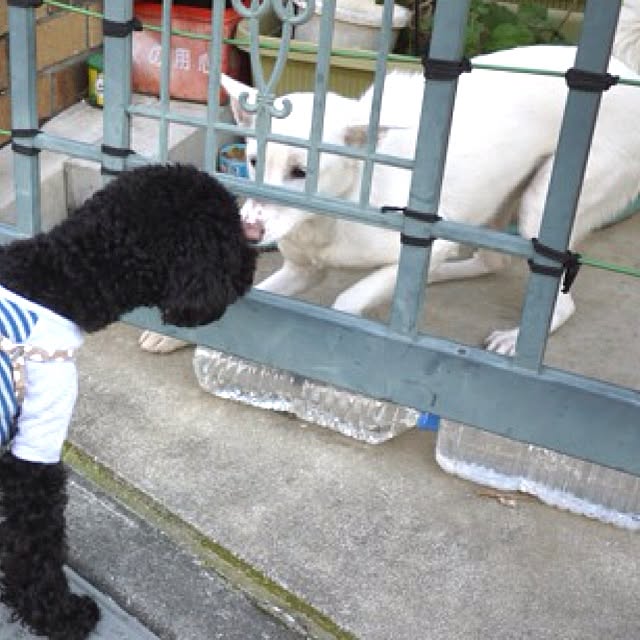 keitanさんの実例写真