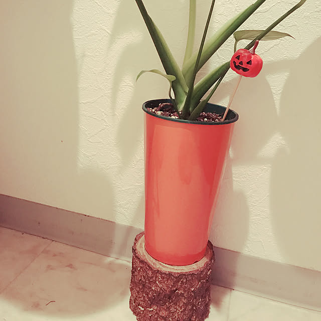 HANAさんの実例写真