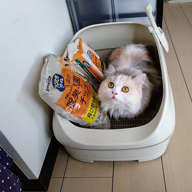 hiromi0302さんの実例写真