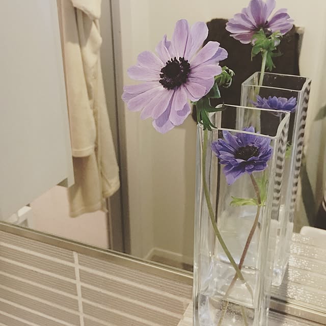 バス/トイレ/植物/IKEAのインテリア実例 - 2016-04-19 19:36:24