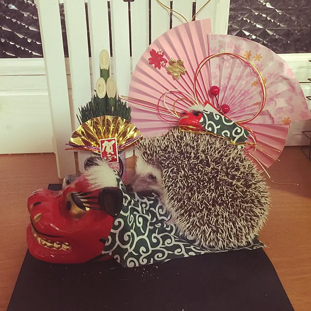 RURULOVEさんの実例写真