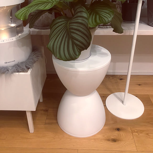 sashiさんの部屋