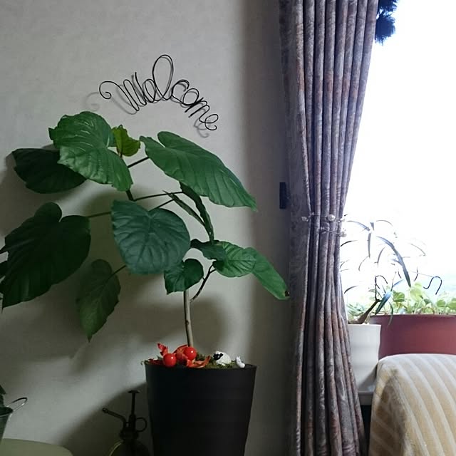 runaさんの実例写真