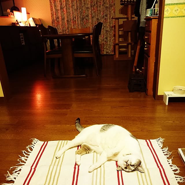 furlaさんの実例写真