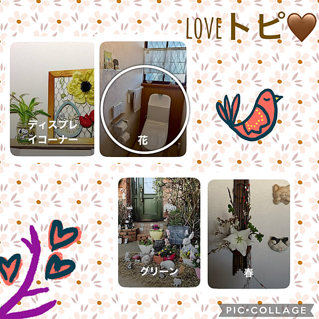 CoCo0617さんの実例写真