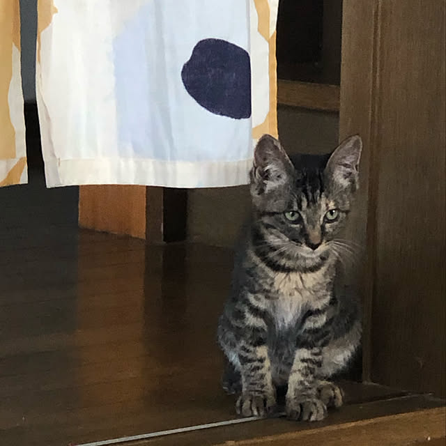 mamiさんの実例写真