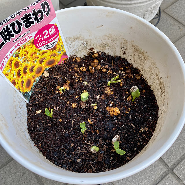 YuuKoさんの部屋