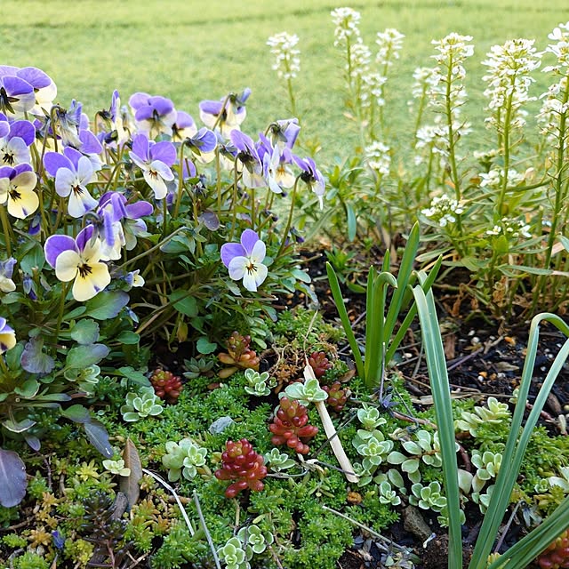 coconathuさんの実例写真