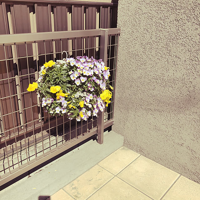 maririさんの実例写真