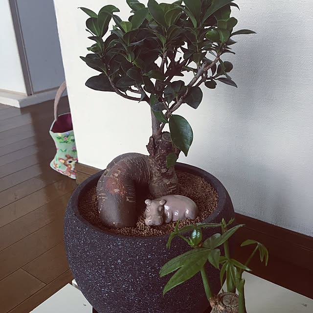 naokoさんの実例写真