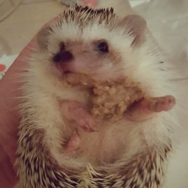 kuruさんの実例写真