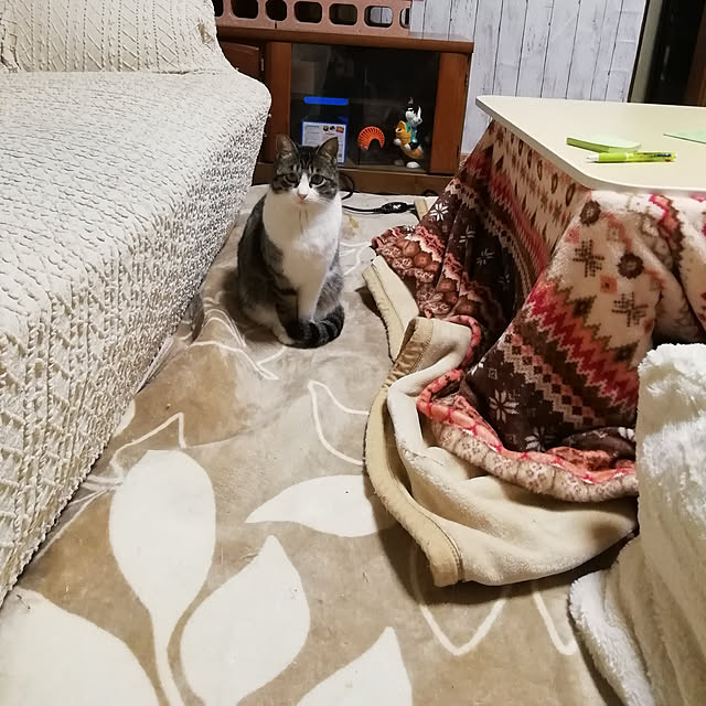 Tomopさんの実例写真