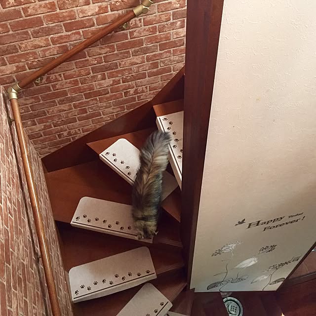 butachanさんの実例写真