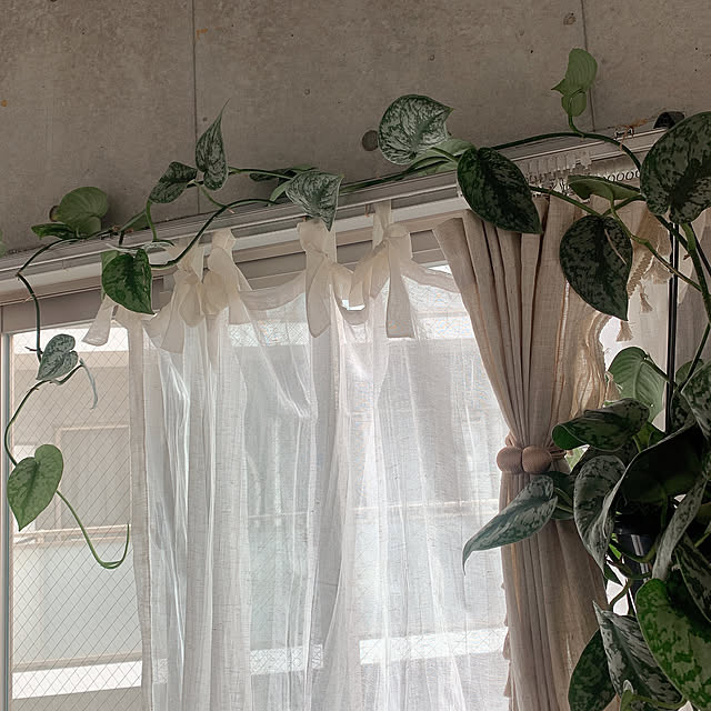 olive18さんの実例写真